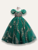 Floral Princess Starry Tulle Dress - Bebehanna