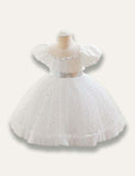 Floral Princess Tulle Party Dress - Bebehanna