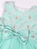Flower Embroidered Mesh Party Dress - Mini Taylor