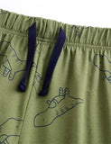 Dinosaur Appliqué Set - Bebehanna