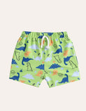 Dinosaur Full Printed Swimming Shorts - Bebehanna