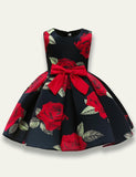 Rose PrintedParty Dress