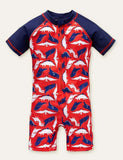 Shark Dinosaur One-Piece Swimsuit - Bebehanna